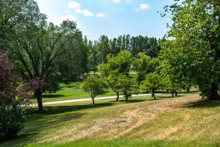 A residential street in Rosemont